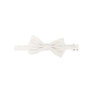 Lady Anne White Ties & Bow Ties Men